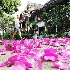  Bed & Breakfast Lotus Corner - Heritage Laos